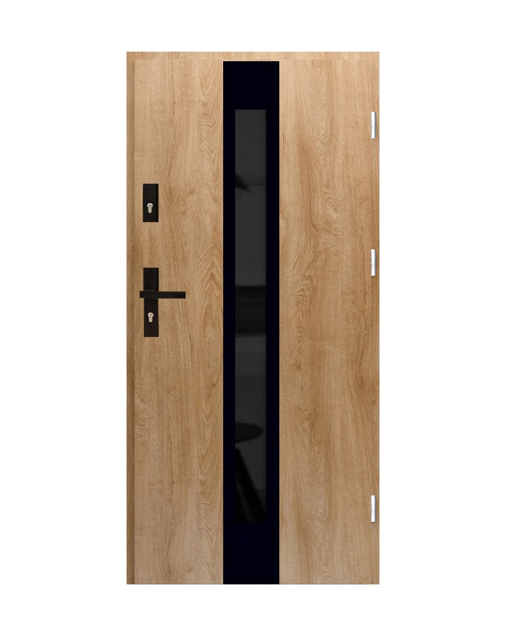 Inox 16 s black ciemny refleks termo max 1 | 31 | sawicki polskie drzwi